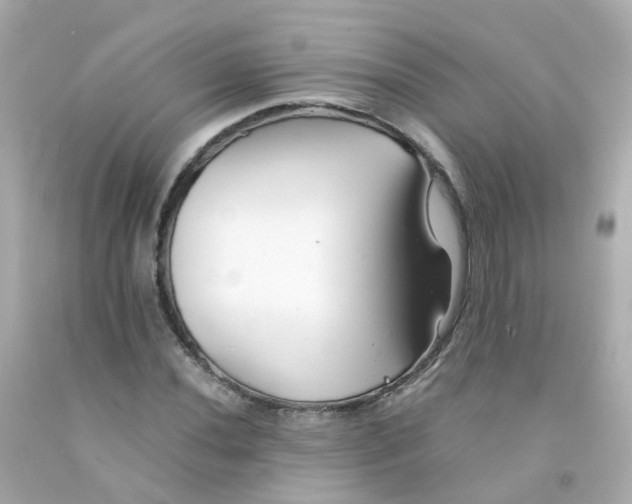 X0000093151020200710241358