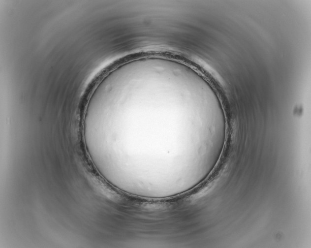 X0000093151021200710241358