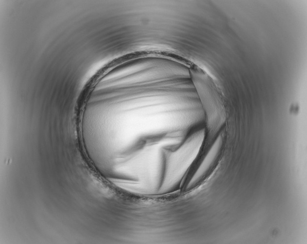 X0000093151022200710241358