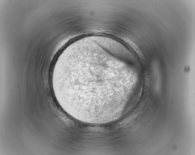 X0000093151023200710241358