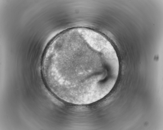 X0000093151024200710241358