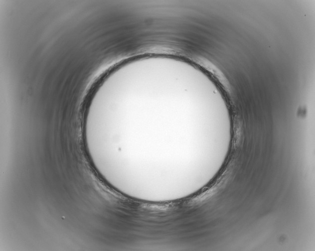 X0000093151027200710241358