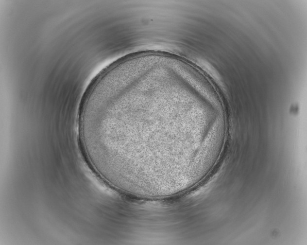 X0000093151028200710241358