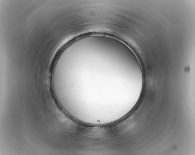 X0000093151029200710241358