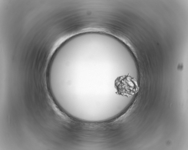 X0000093151030200710241358