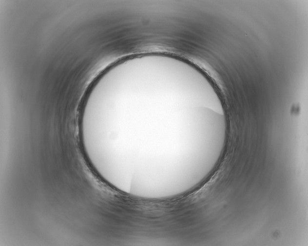 X0000093151031200710241358