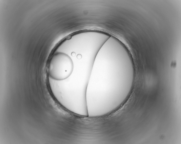 X0000093151032200710241358