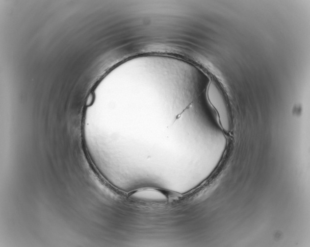 X0000093151033200710241358