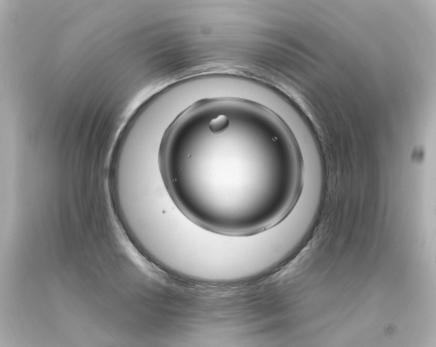 X0000093151034200710241358