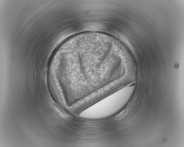 X0000093151035200710241358