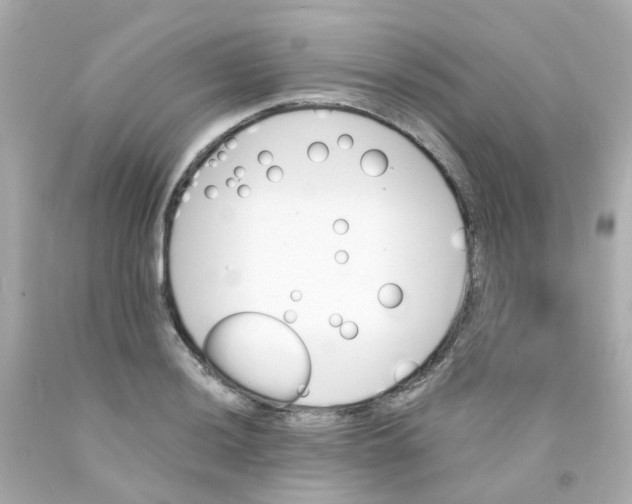 X0000093151036200710241358