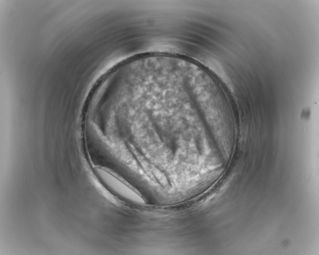 X0000093151037200710241358