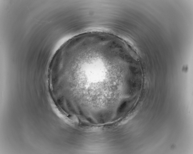 X0000093151038200710241358