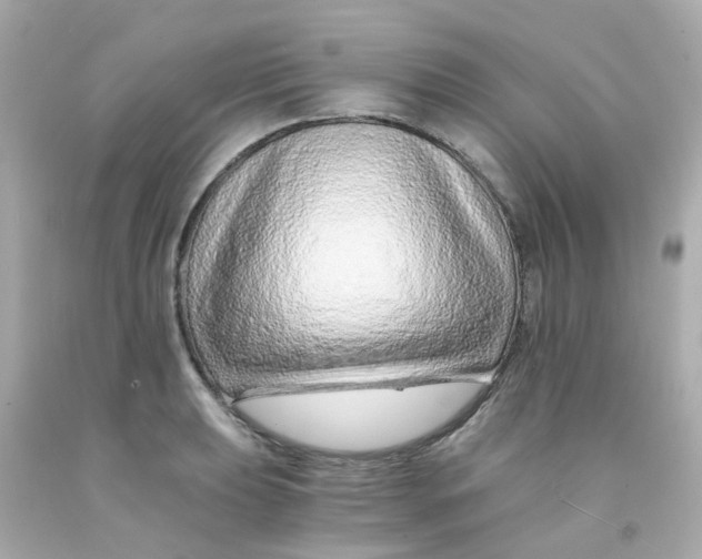 X0000093151039200710241358