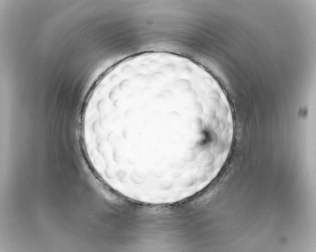 X0000093151040200710241358