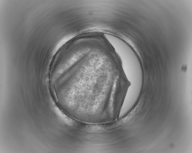 X0000093151042200710241358