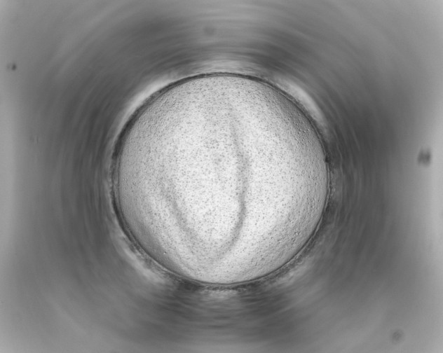 X0000093151043200710241358