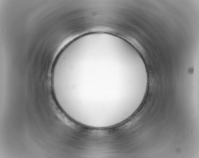 X0000093151044200710241358