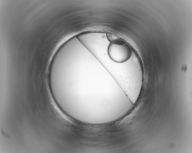 X0000093151045200710241358