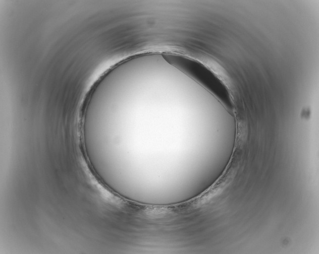 X0000093151046200710241358