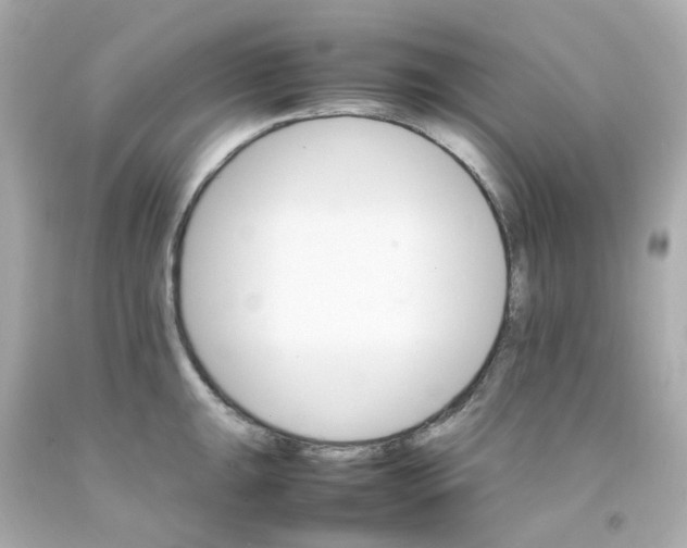 X0000093151047200710241358