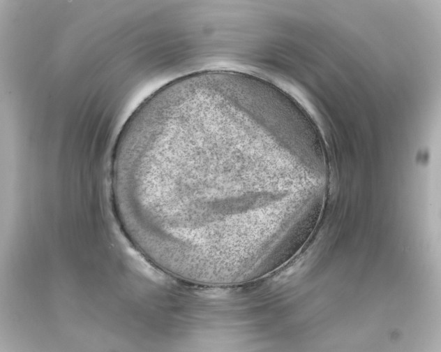 X0000093151048200710241358