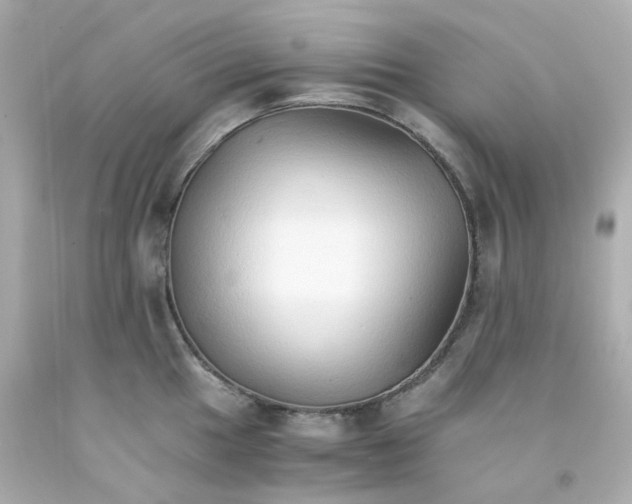 X0000093151049200710241358