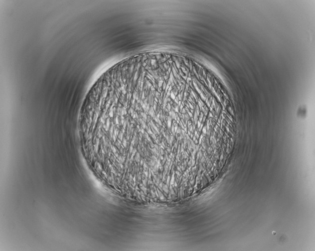 X0000093151050200710241358