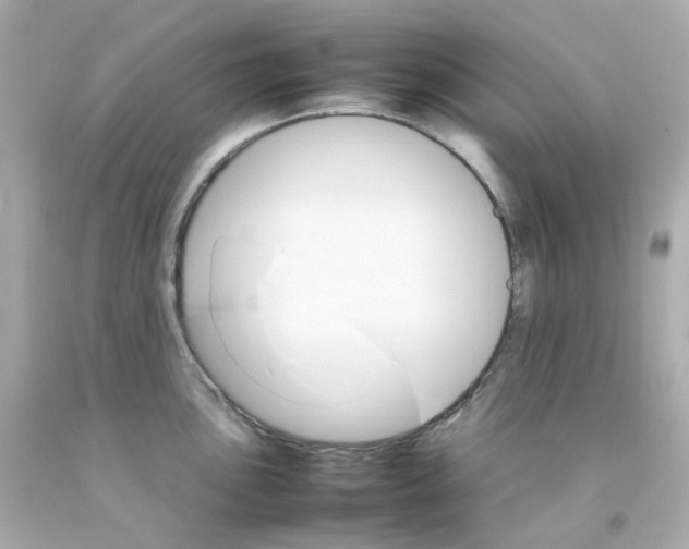 X0000093151051200710241358