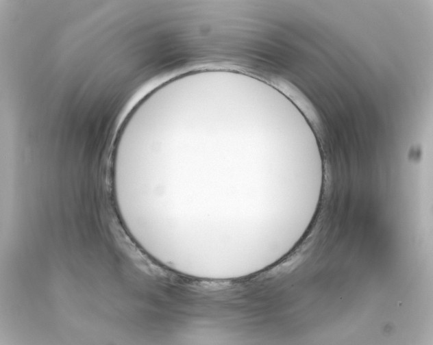 X0000093151052200710241358