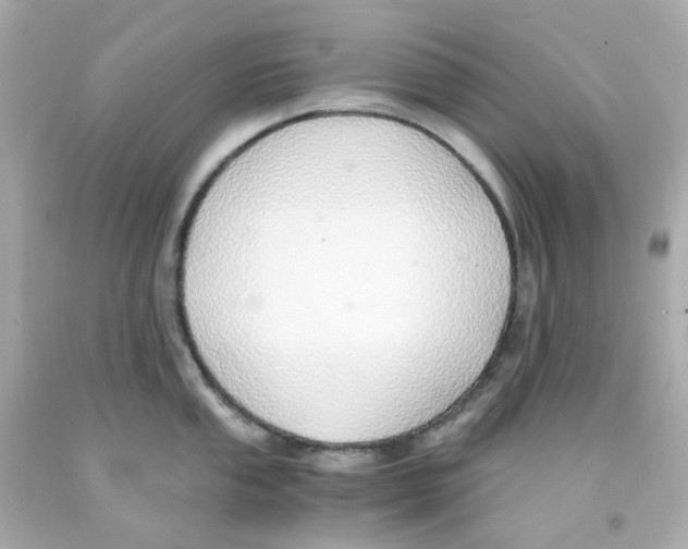 X0000093151053200710241358