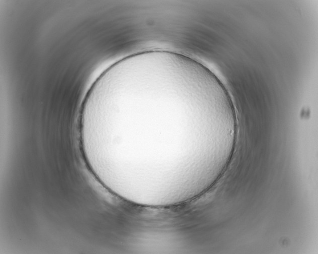 X0000093151056200710241359