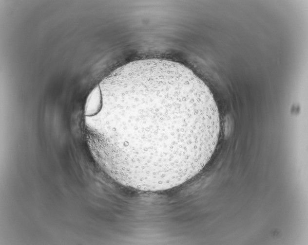 X0000093151059200710241358