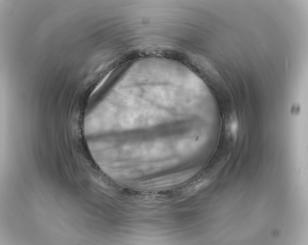 X0000093151060200710241358