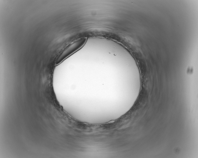 X0000093151061200710241358