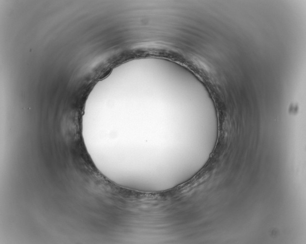 X0000093151062200710241358