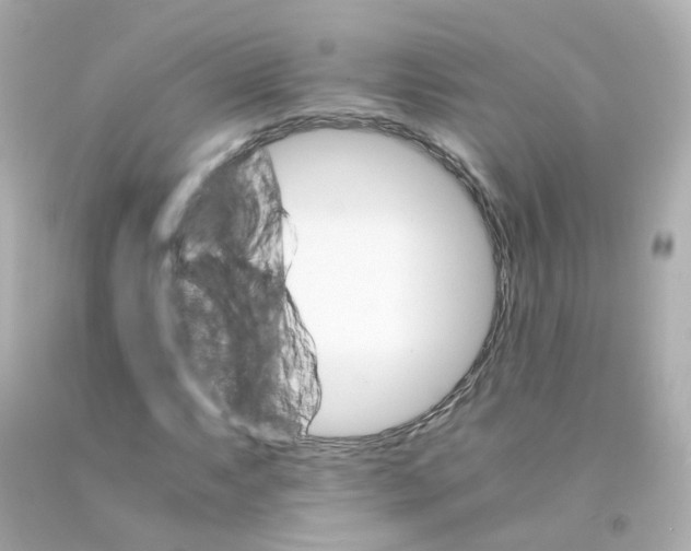 X0000093151063200710241358