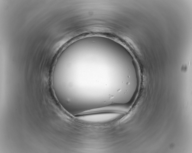 X0000093151065200710241358