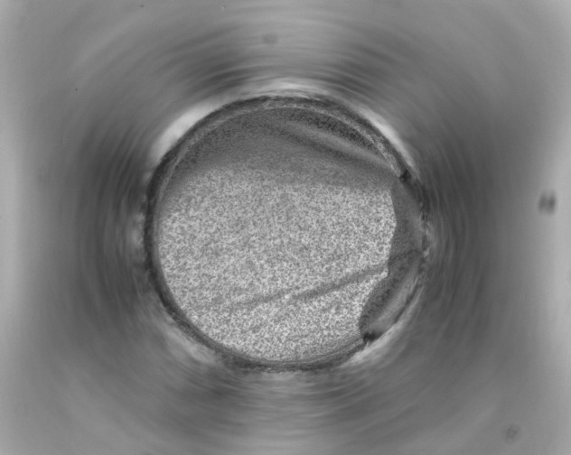 X0000093151066200710241358