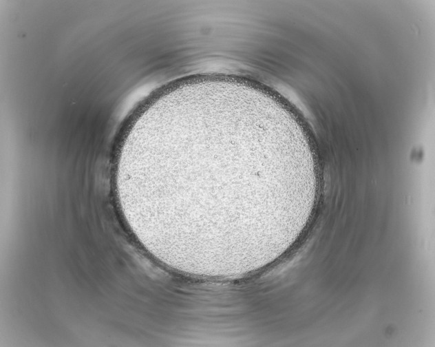 X0000093151067200710241358