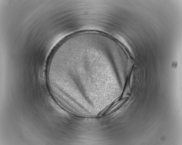 X0000093151068200710241358