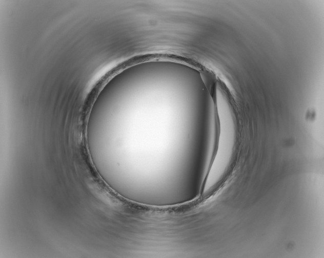 X0000093151069200710241358