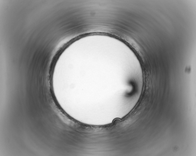 X0000093151072200710241358