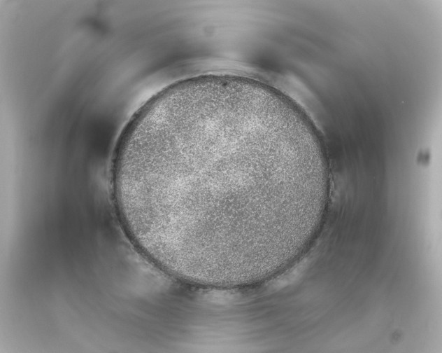 X0000093151074200710241358