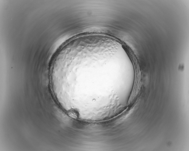 X0000093151075200710241358