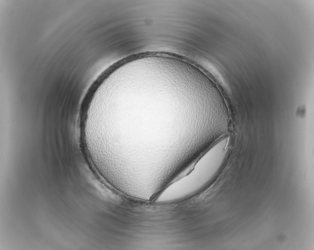 X0000093151076200710241358