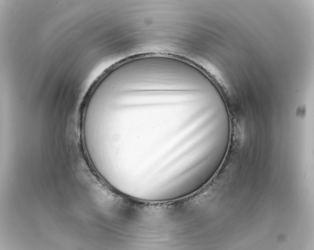 X0000093151078200710241358