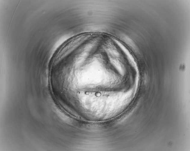 X0000093151079200710241358