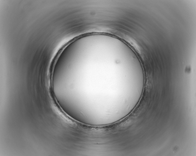 X0000093151080200710241358