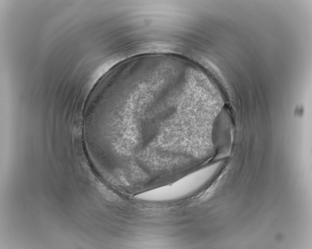 X0000093151081200710241358